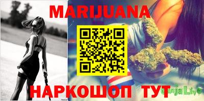 сатива Пенза
