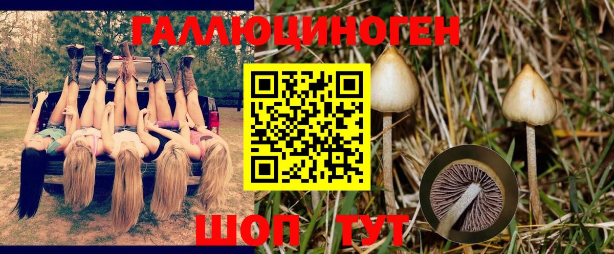 Галлюциногенные грибы GOLDEN TEACHER Трёхгорный