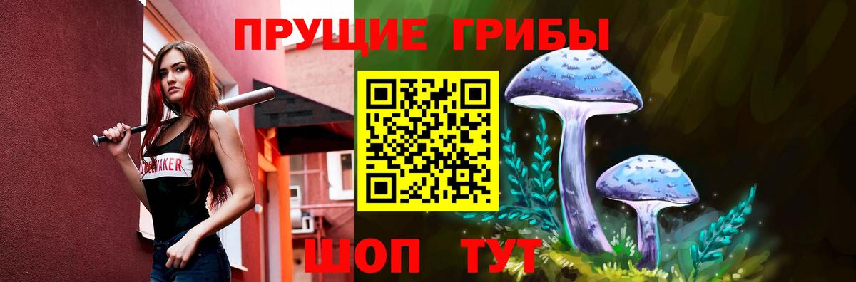 Псилоцибиновые грибы Psilocybe  Псилоцибиновые грибы Cubensis  Вход с VPN  Трёхгорный 